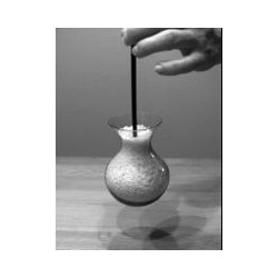 En er død i alles sted