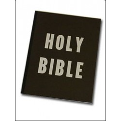 Holy Bible Coloring Book
