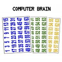 Computer Brain